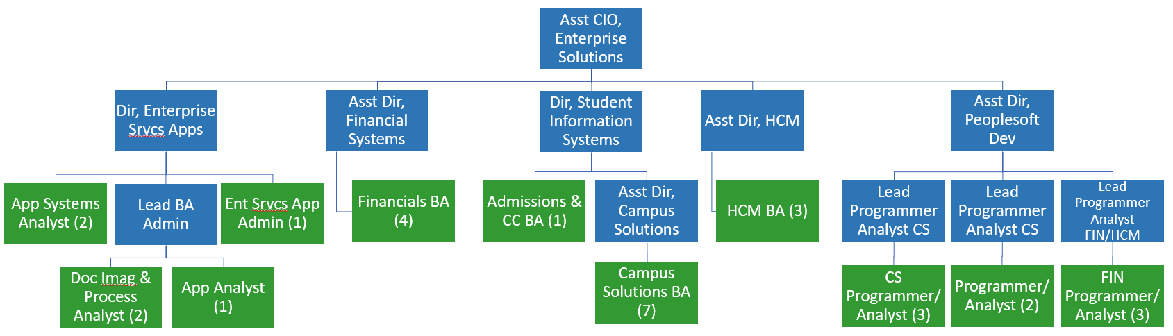 cognizant organization chart